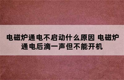 电磁炉通电不启动什么原因 电磁炉通电后滴一声但不能开机